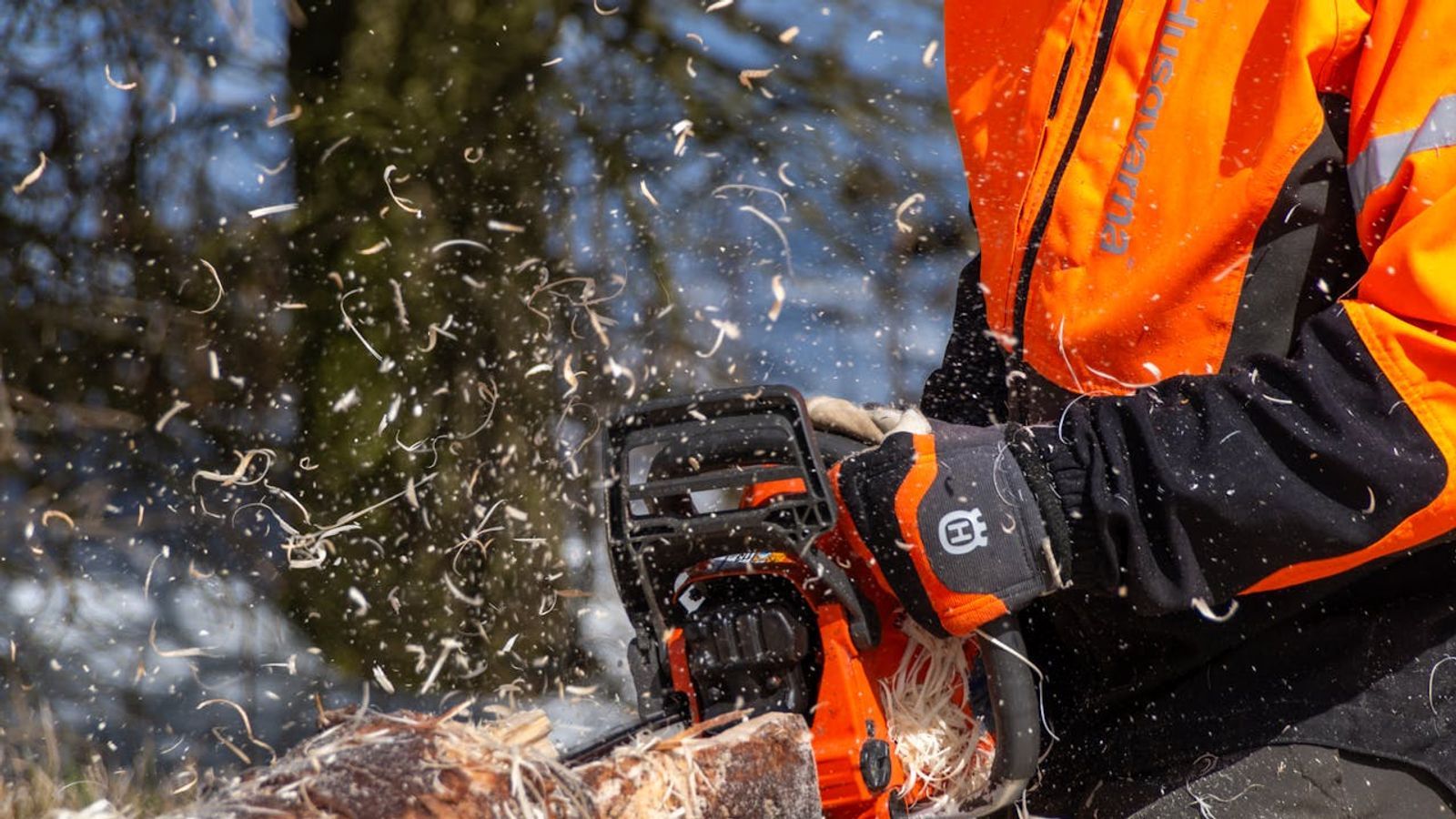 Forestry Loan Programs to Support Vermont’s Forest Economy (Doing Business in Vermont )