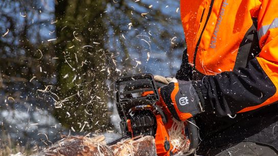 Forestry Loan Programs to Support Vermont’s Forest Economy (Doing Business in Vermont )