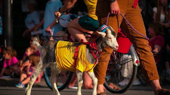 Vermont Is a Lifestyle Choice, Not a Growth State