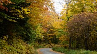 Vermont’s 2026–2027 Infrastructure Boom Signals Major Lifestyle Advantage for Relocating Families (Featured )