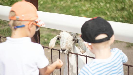 Vermont’s Farm-to-School Programs Are a Major Draw for Young Families Considering a Move (Featured )