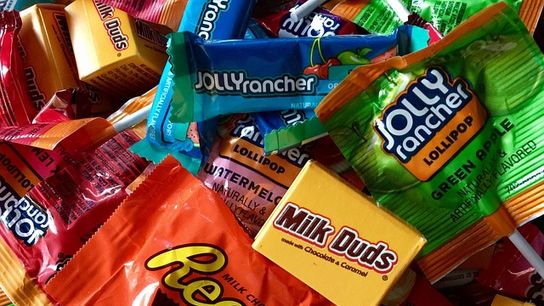 Halloween in Vermont: What Newcomers Should Know Before Stocking the Treat Bowl (Live in Vermont)