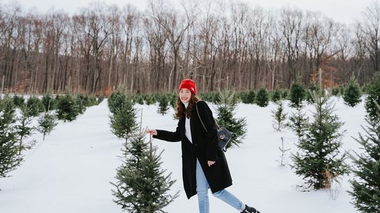 Christmas Tree Prices Surge Early, Then Slide Toward Christmas: What Vermont Newcomers Should Know