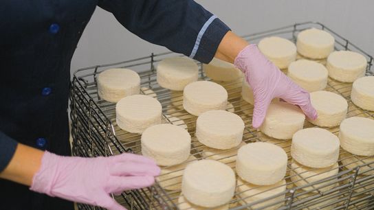 Vermont’s Cheese Economy: How the Green Mountain State Became a National Dairy and Artisan Food Powerhouse